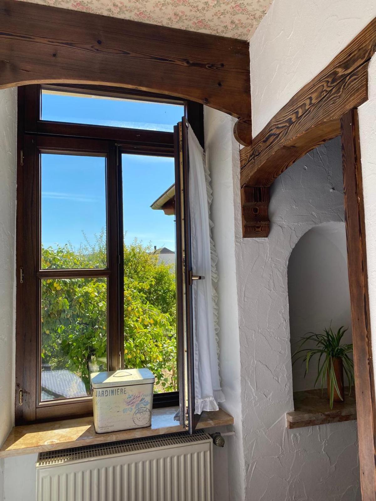 Apartmenthaus Eurenerstrasse 179 Trier Bagian luar foto